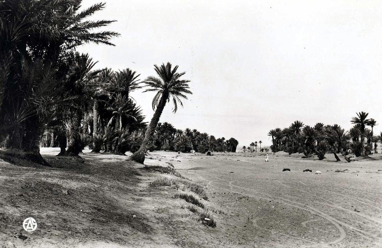 Colomb bechar 518- oued COLLECTION DES AMIS DE ND DE SANTA CRUZ.jpg
